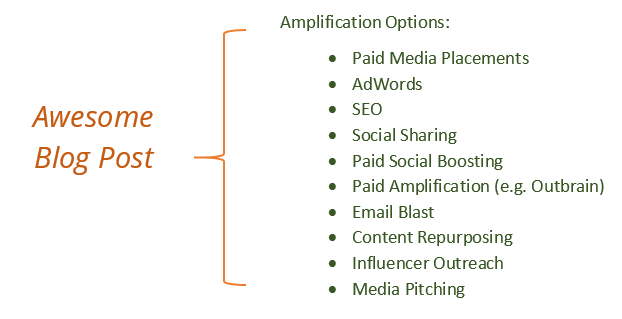 Amplification Strategies for Blogs